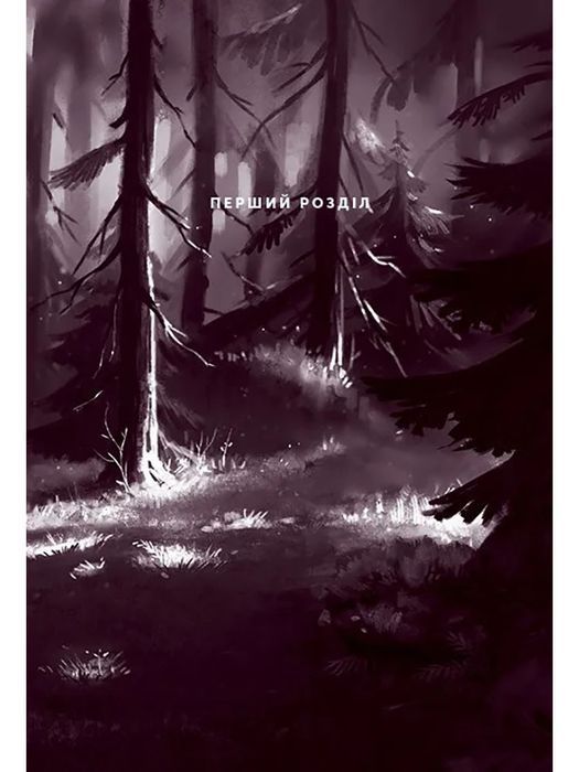 Північне сяйво. Книга 2. Вікінги й Оракул